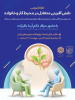 «نقش‌آفرینی متعادل در محیط کار و خانواده»